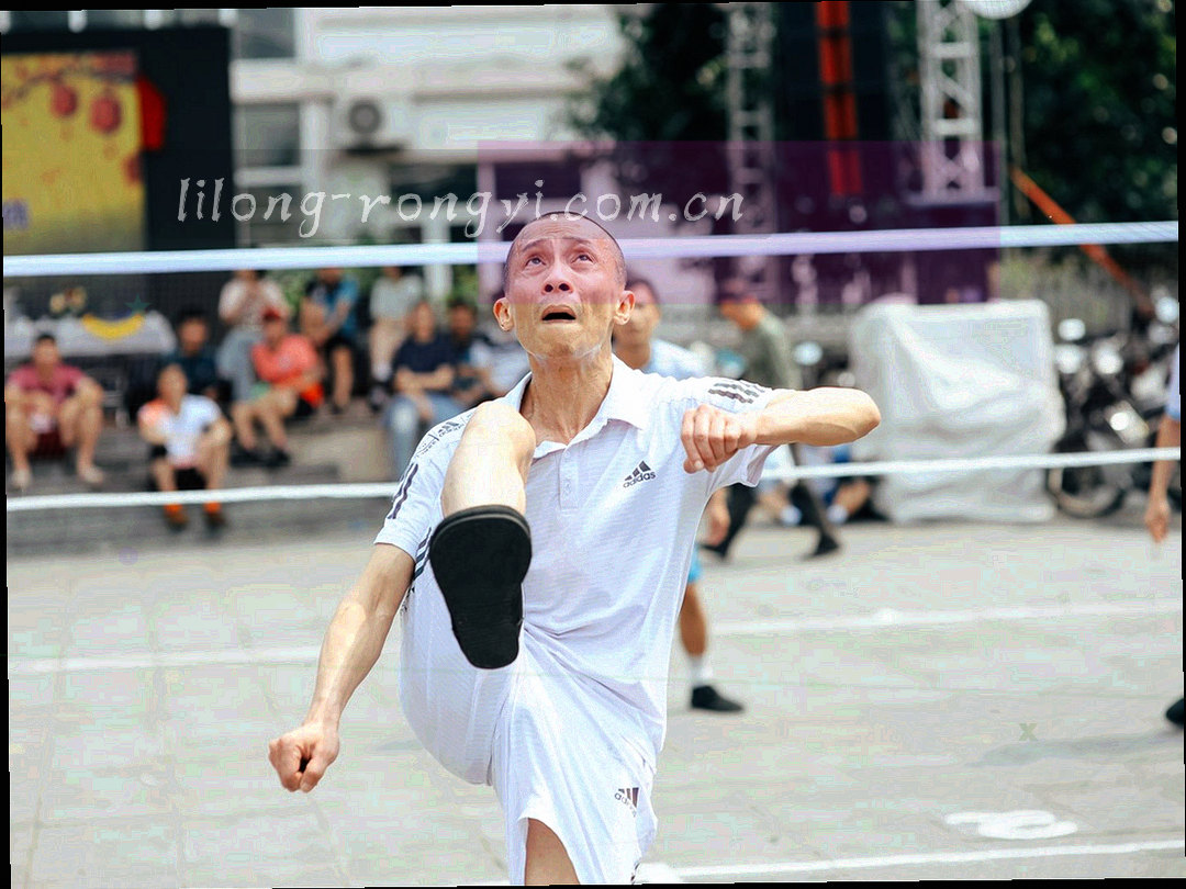 手机界面特写，输入框中显示关键词后出现分类结果列表，界面内容为抽象图形